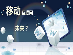 互聯(lián)網(wǎng)小白創(chuàng)業(yè)指南 軟件服務(wù)領(lǐng)域的避坑與成功路徑